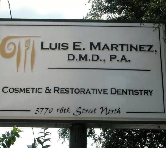 Luis E Martinez DMD PA