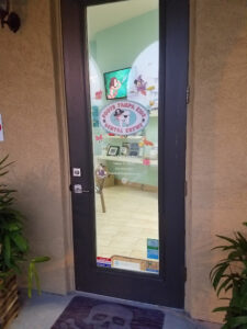 South Tampa Kids Dental Krewe