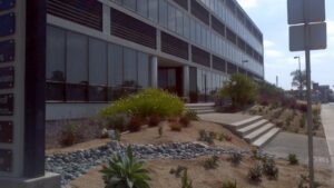 Fritzi A. Perez-Myers, DMD, Inc.