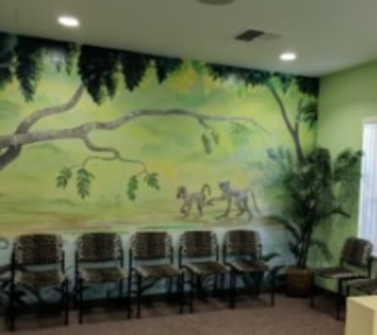 Wild About Smiles Pediatric Dentistry