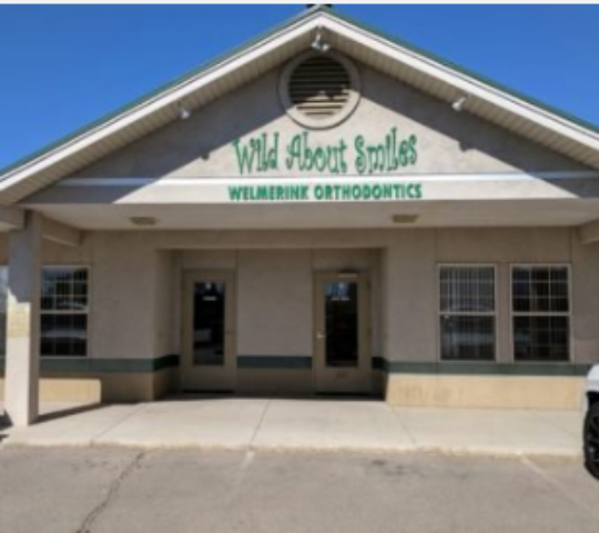 Wild About Smiles Pediatric Dentistry
