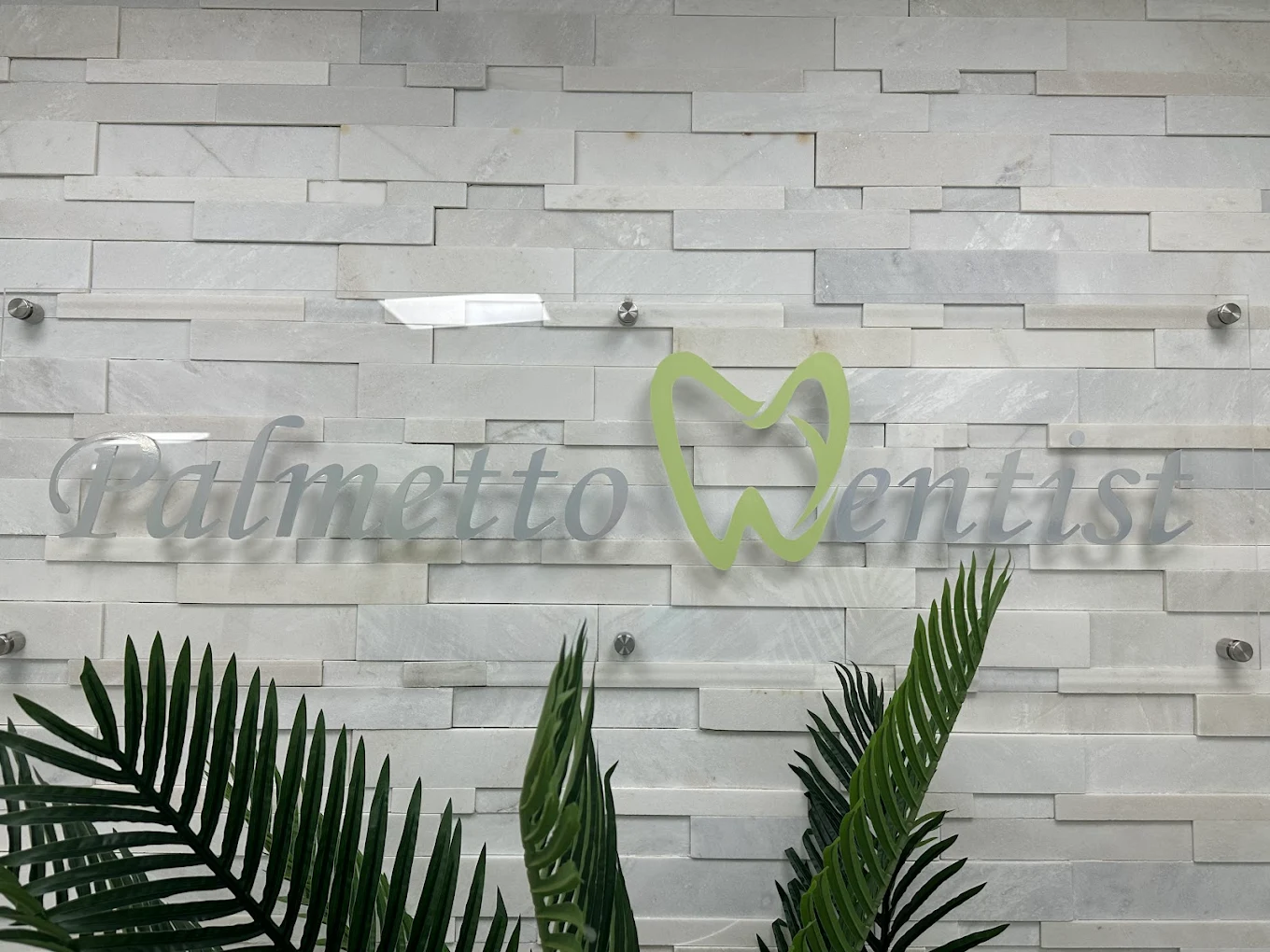 Palmetto Dentist, Dr. Larysa K. Smith